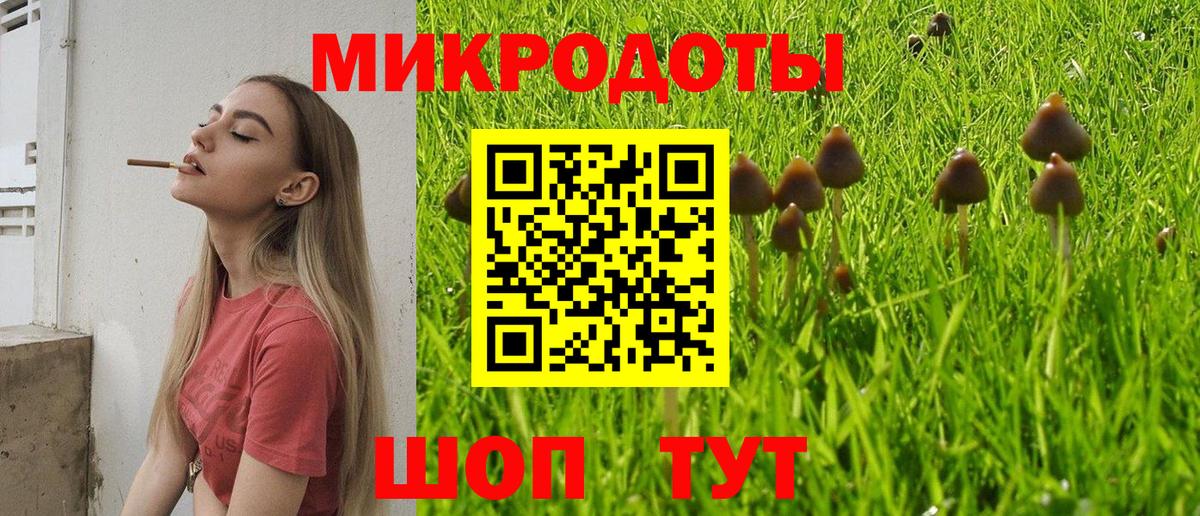 Псилоцибиновые грибы мицелий  Галлюциногенные грибы прущие грибы  Вход с VPN  Приморско-Ахтарск 
