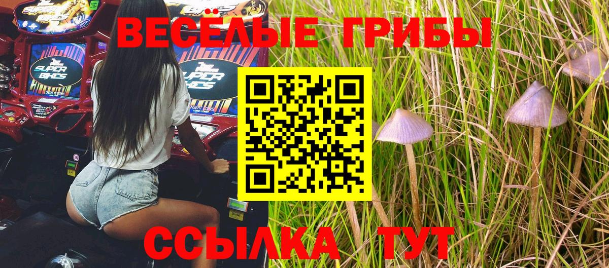 Галлюциногенные грибы мухоморы Приморско-Ахтарск
